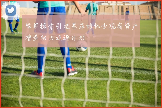 绿军探索引进墨菲的机会现有资产增多助力追逐计划