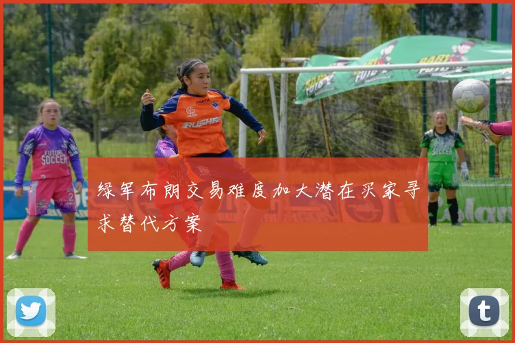 绿军布朗交易难度加大潜在买家寻求替代方案