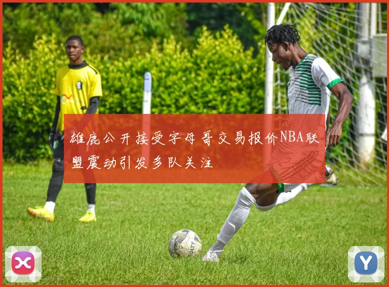 雄鹿公开接受字母哥交易报价NBA联盟震动引发多队关注