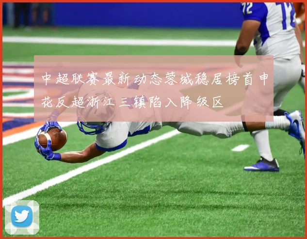 中超联赛最新动态蓉城稳居榜首申花反超浙江三镇陷入降级区